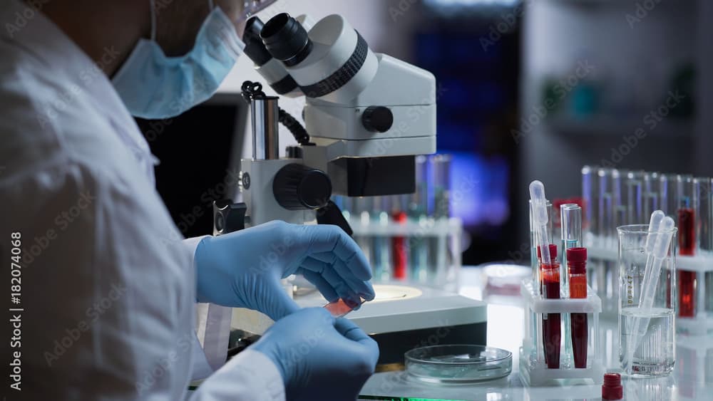 Numune Alma Hizmetleri